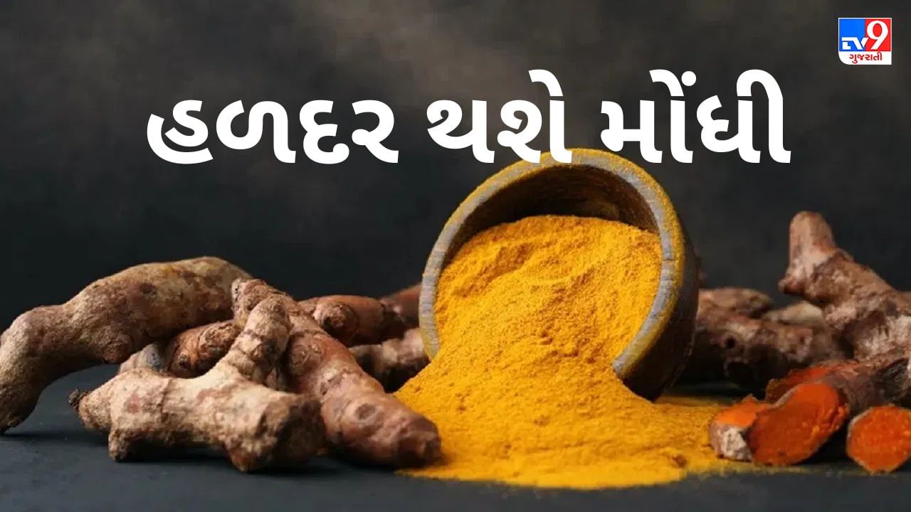 commodity market today : ચાર મહિનામાં હળદર 180 % મોંઘી થઈ, આ કારણથી વધ્યા ભાવ