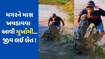 જાણી જોઈને જોખમ લેવું આને કહેવાય ! મગરને માસ ખવડાવવા વ્યક્તિએ કરી આવી મુર્ખામી, જુઓ- VIRAL VIDEO