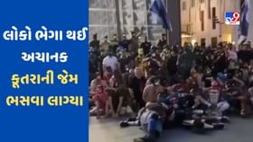 ચોંકાવનારી ઘટના, જર્મનીમાં લોકો ભેગા થઈ કૂતરાની જેમ ભસવા લાગ્યા-VIDEO ચોંકાવનારી ઘટના, જર્મનીમાં લોકો ભેગા થઈ કૂતરાની જેમ ભસવા લાગ્યા-VIDEO