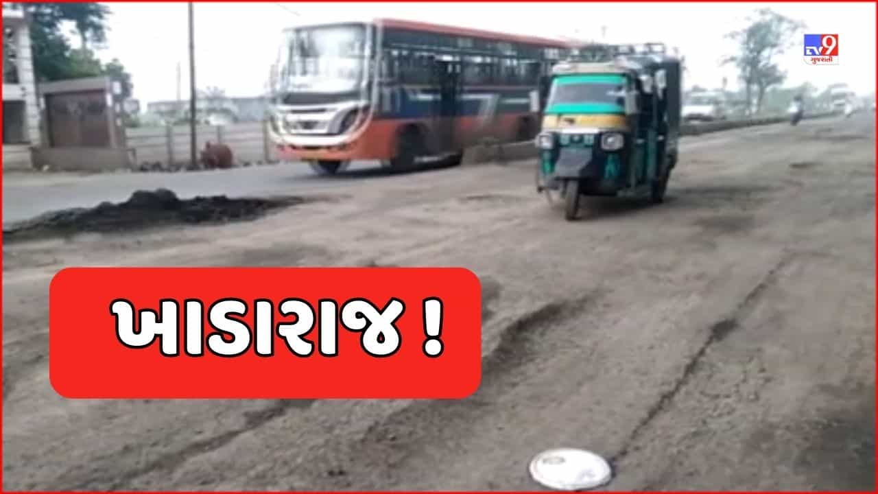 Vadodara Video : વાઘોડિયા ગામથી પારૂલ યુનિવર્સિટી સુધીના રોડ પર ખાડારાજ, વહેલી તકે સમારકામ કરવા વાહનચાલકોની માગ