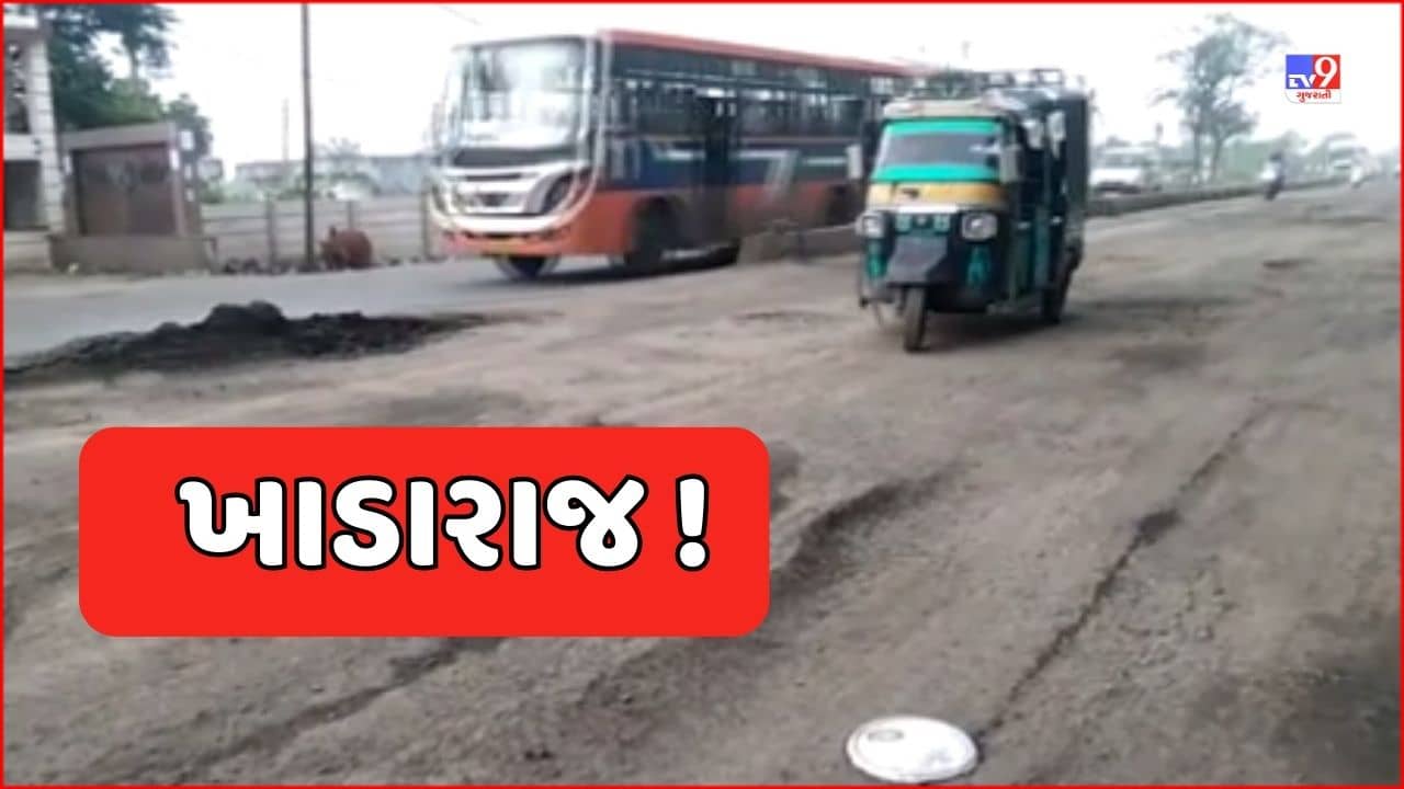 Vadodara Video : વાઘોડિયા ગામથી પારૂલ યુનિવર્સિટી સુધીના રોડ પર ખાડારાજ, વહેલી તકે સમારકામ કરવા વાહનચાલકોની માગ