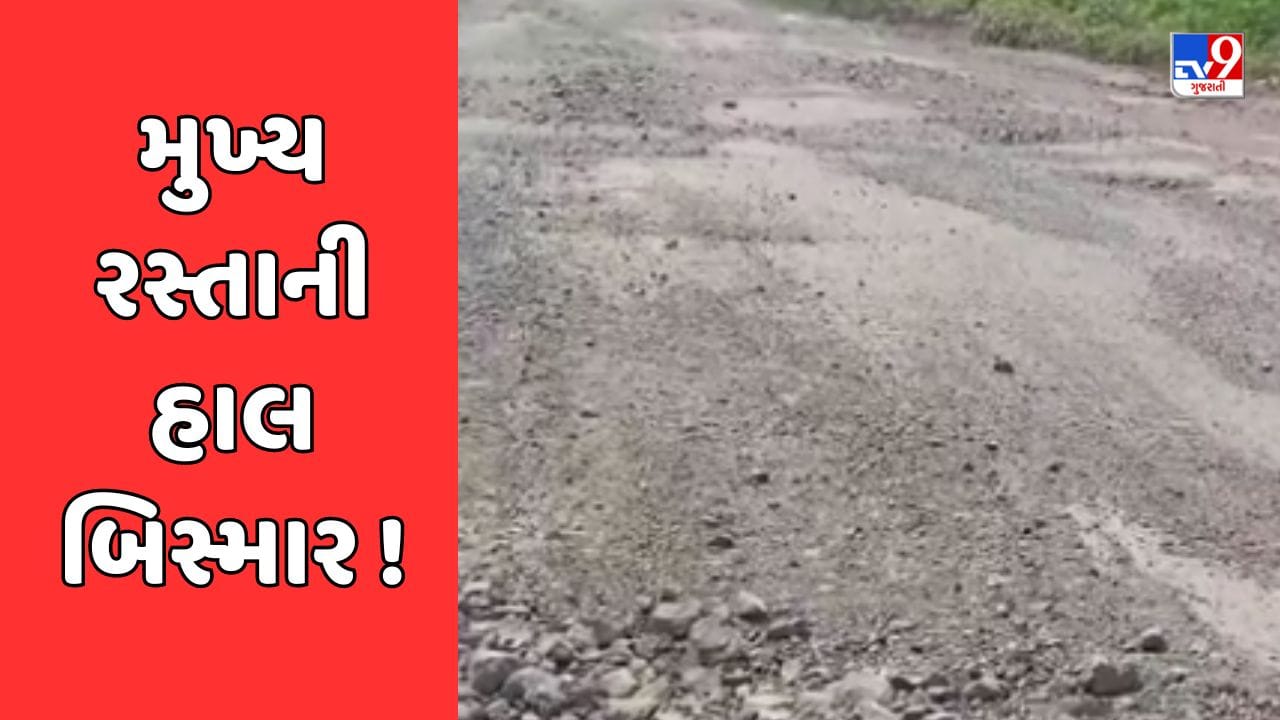 Vadodara Video : કરજણથી ડભોઇને જોડતો મુખ્ય રસ્તો બિસ્માર હાલતમાં, તાત્કાલિક રસ્તાનું સમારકામ થાય તેવી લોકોની માગ Vadodara Video : કરજણથી ડભોઇને જોડતો મુખ્ય રસ્તો બિસ્માર હાલતમાં, તાત્કાલિક રસ્તાનું સમારકામ થાય તેવી લોકોની માગ