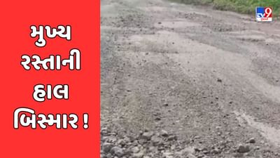 Vadodara Video : કરજણથી ડભોઇને જોડતો મુખ્ય રસ્તો બિસ્માર હાલતમાં, તાત્કાલિક રસ્તાનું સમારકામ થાય તેવી લોકોની માગ