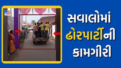 Video - VMCની ઢોર પાર્ટીની કામગીરીનો વીડિયો વાયરલ, રખડતા ઢોર પાછળ જોખમી રીતે દોડાવ્યું વાહન