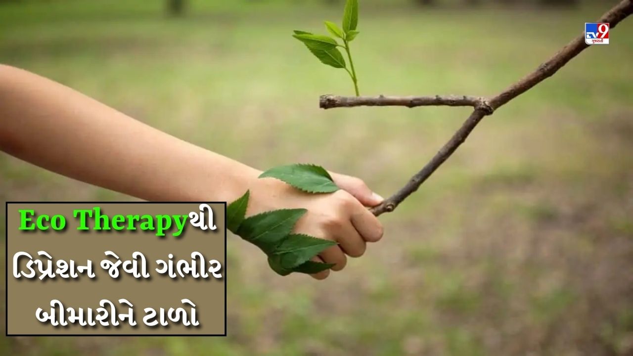 Health care : Eco Therapy શું છે? તે માનસિક સ્વાસ્થ્ય માટે ખૂબ જ ફાયદાકારક છે