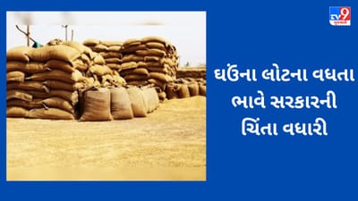 Commodity Market : ઘઉંના લોટે વધારી ચિંતા, સરકાર ખુલ્લા બજારમાં ઘઉંનો વધુ જથ્થો વેચશે, જાણો તમારા ખિસ્સા પર શું થશે અસર?