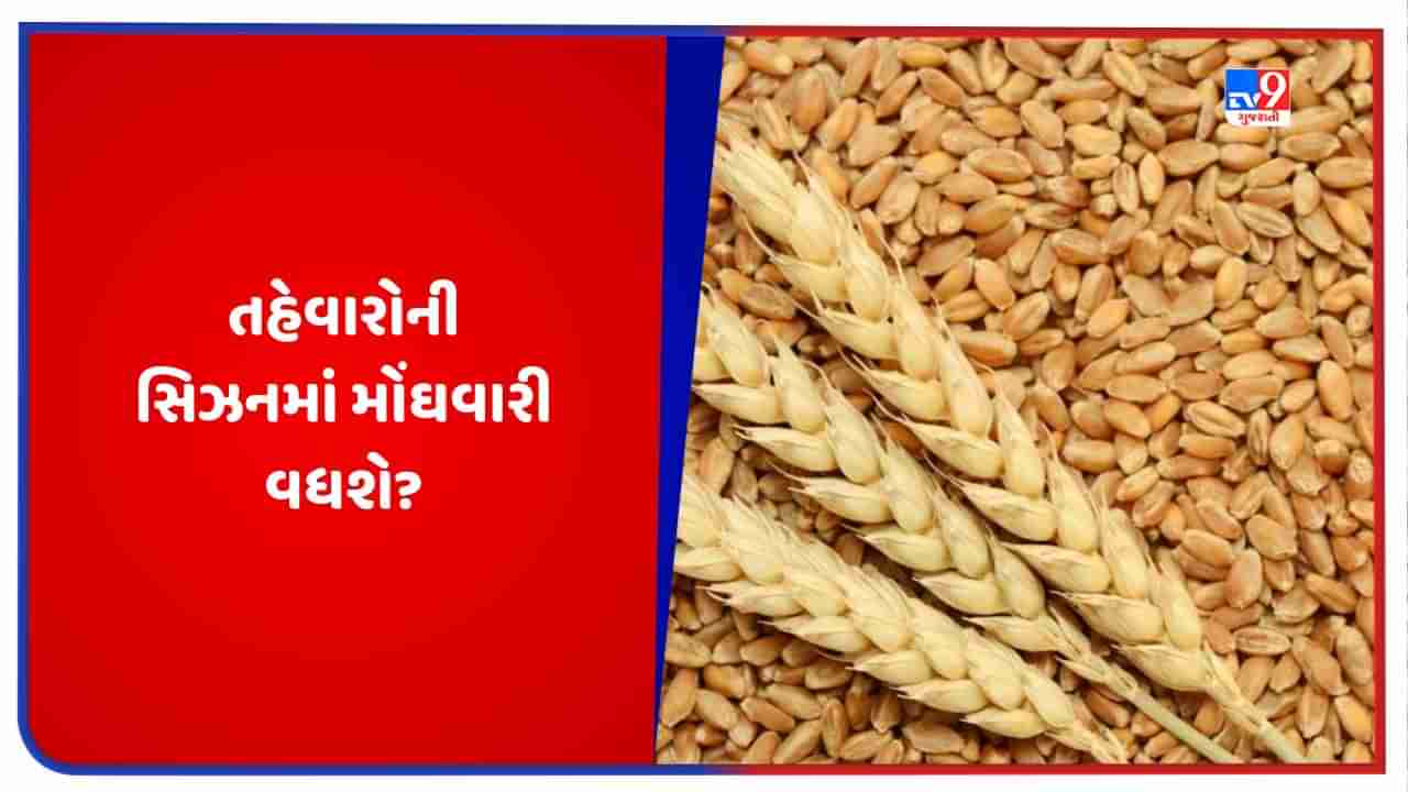 Wheat Price: શું તહેવારોની સિઝનમાં મોંઘવારી વધશે, દિવાળી પહેલા સરકારે કેમ ઉઠાવ્યું આ પગલું?