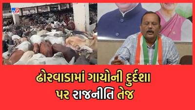 Gujarati Video: અમદાવાદમાં ઢોરવાડાની દુર્દશા મુદ્દે મનપા ડેપ્યુટી કમિશનરે આપી સફાઈ, ક્ષમતા કરતા વધુ પશુ નથી ભરવામાં આવ્યા
