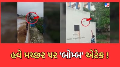 Gujarati Video: મચ્છરજન્ય રોગચાળાને નાથવા AMC કરશે બોમ્બ એટેક, લારવાનો નાશ કરવા બનાવાયા ખાસ બોમ્બ