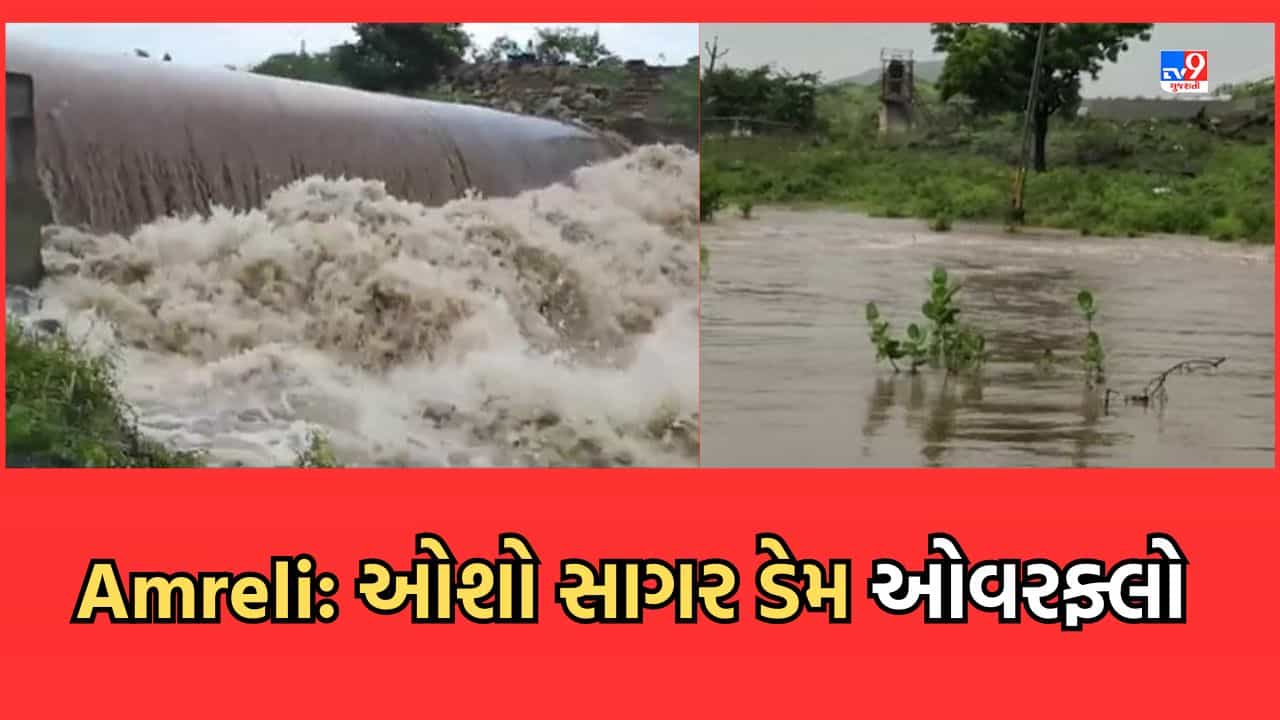 Rain Video: અમરેલીના સાવરકુંડલામાં મન મુકીને વરસ્યા મેઘરાજા, છલાકાયા નદી-નાળા, ઓશો સાગર ડેમ ઓવરફ્લો