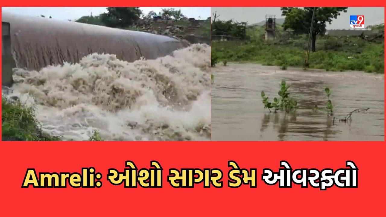 Rain Video: અમરેલીના સાવરકુંડલામાં મન મુકીને વરસ્યા મેઘરાજા, છલાકાયા નદી-નાળા, ઓશો સાગર ડેમ ઓવરફ્લો