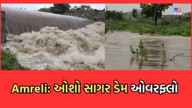 સાવરકુંડલાના ગ્રામ્ય પંથકમાં મેઘરેજાની ધમાકેદાર બેટિંગ, છલકાયા નદીનાળા સાવરકુંડલાના ગ્રામ્ય પંથકમાં મેઘરેજાની ધમાકેદાર બેટિંગ, છલકાયા નદીનાળા