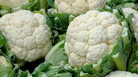 cauliflower cultivation : કોબીજની જૈવિક ખેતી ખેડૂતો માટે ફાયદાકારક cauliflower cultivation : કોબીજની જૈવિક ખેતી ખેડૂતો માટે ફાયદાકારક