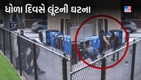 Chicago માં ધોળા દિવસે હિંસક રીતે માર મારી લૂંટની ઘટના,જૂઓ Live Video Chicago માં ધોળા દિવસે હિંસક રીતે માર મારી લૂંટની ઘટના,જૂઓ Live Video