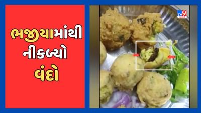 Chhota Udepur: નસવાડીની એક ફરસાણની દુકાનમાં ભજીયામાંથી નીકળ્યો વંદો, જુઓ Video