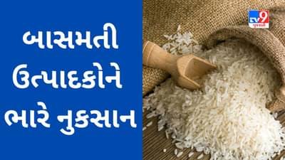 Commodity Market Today : સરકારના આ પગલાથી બાસમતી ઉત્પાદકોને ભારે નુકસાન, પોષણસમ ભાવ નહીં મળવાની રાવ