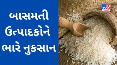 Commodity Market Today : સરકારના આ પગલાથી બાસમતી ઉત્પાદકોને ભારે નુકસાન, પોષણસમ ભાવ નહીં મળવાની રાવ