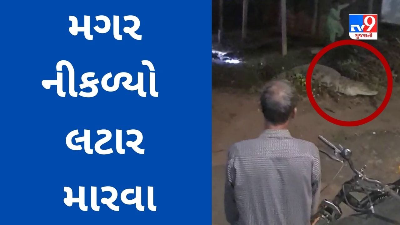 Bharuch : ભાલોદ ગામમાં રાતના સમયે મગર નીકળ્યો લટાર મારવા, ગ્રામજનોમાં ફફડાટ ફેલાયો, જુઓ Video Bharuch : ભાલોદ ગામમાં રાતના સમયે મગર નીકળ્યો લટાર મારવા, ગ્રામજનોમાં ફફડાટ ફેલાયો, જુઓ Video