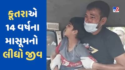 કૂતરુ કરડે તો તેને હળવાશમાં ના લેતા ! ગાઝિયાબાદમાં 14 વર્ષના બાળકે કોઈને ના કહ્યું તો ઉપડ્યો હડકવા અને થઈ ગયુ મોત