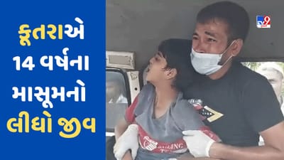 કૂતરુ કરડે તો તેને હળવાશમાં ના લેતા ! ગાઝિયાબાદમાં 14 વર્ષના બાળકે કોઈને ના કહ્યું તો ઉપડ્યો હડકવા અને થઈ ગયુ મોત