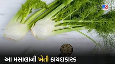 Agriculture Tips: આ મસાલાનો ઉપયોગ થાય છે ઘરથી લઈને મોટી હોટલોમાં, ખેતી તમને બનાવશે ધનવાન