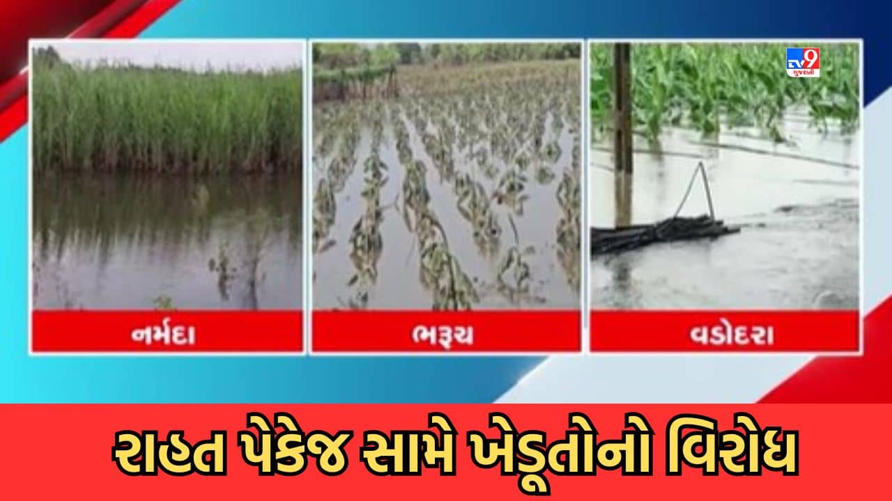 Gujarat Video: સરદાર સરોવર ડેમમાંથી છોડાયેલા પાણીને કારણે ત્રણ જિલ્લામાં પૂરની સ્થિતિ, ખેડૂતોનો મહામૂલો પાક ધોવાતા બન્યા પાયમાલ