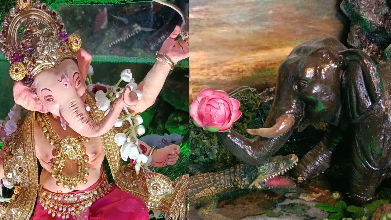 37 માં વર્ષે ગણપતિમા અધભુદ અને ભવ્ય ગજેન્દ્ર મોક્ષની ઝાંખીના દર્શન કરવા લોકોની ભીડ ઉમટે છે. આયોજકનું કહેવું છે કે આ ગજેન્દ્ર મોક્ષની સ્તુતિ સાંભળવાથી કે કરવાથી ભગવાન નારાયણ સર્વ પ્રકારે રક્ષા કરે છે. 