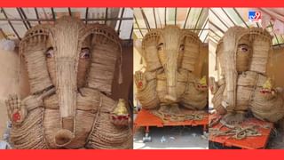 Vadodara: કારેલીબાગમાં વલ્લભનગર સોસાયટીના સ્થાનિકોએ ઘાસના પુળામાંથી બનાવી ગણેશજીની પ્રતિમા- જુઓ Photos