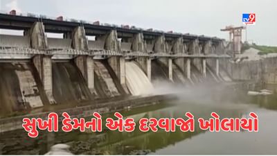 Chhota Udepur :  પાવીજેતપુરના સુખી ડેમમાં પાણીની પુષ્કળ આવક, ડેમનો એક દરવાજો ખોલવામાં આવ્યો, જુઓ Video