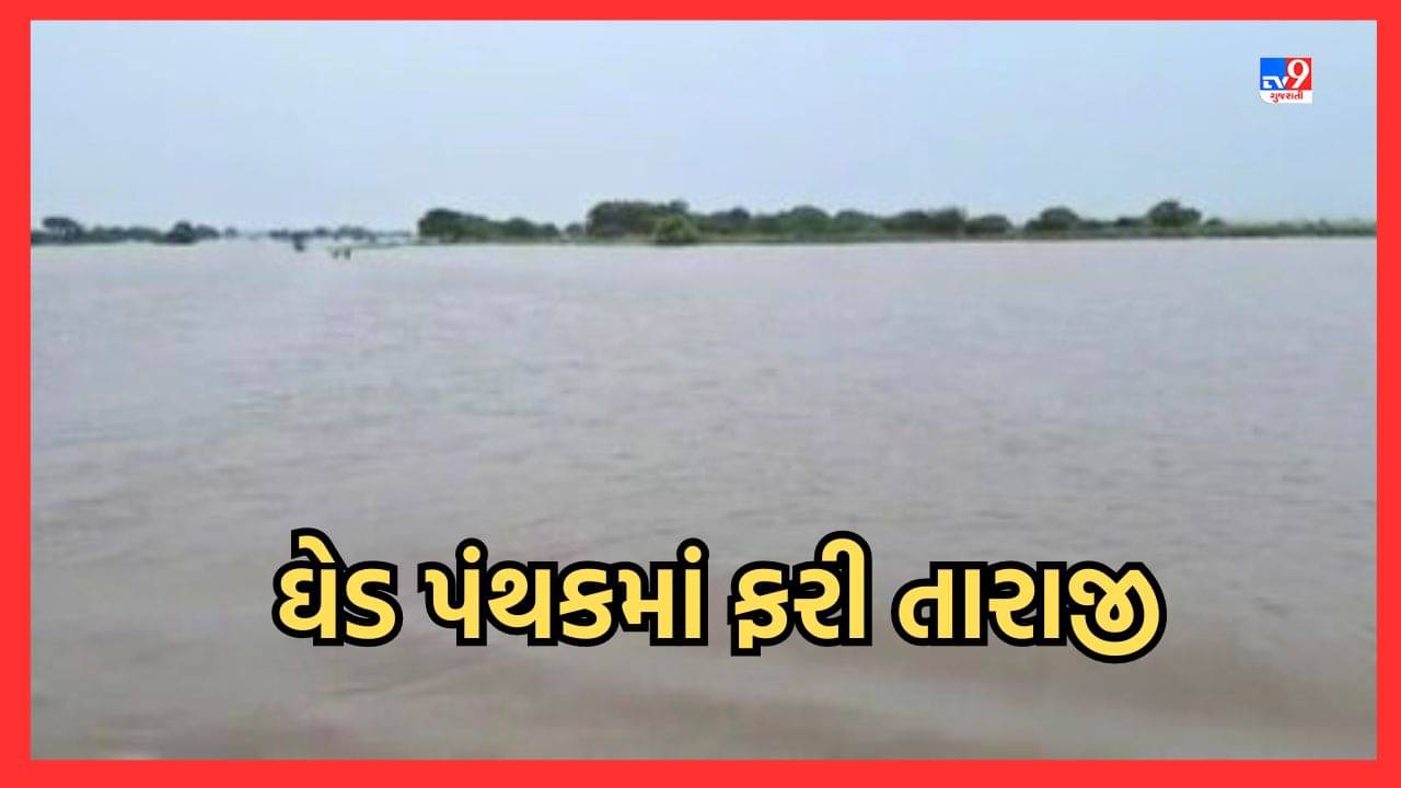 Gujarati Video: ઘેડ પંથક થયો ફરી જળબંબાકાર, ખેતરો પાણીમાં ગરકાવ, મગફળીનો પાક નિષ્ફળ જવાની ભીતિ