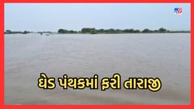 ઘેડ પંથક ફરી થયો જળબંબાકાર, મગફળીનો પાક નિષ્ફળ જવાની ભીતિ ઘેડ પંથક ફરી થયો જળબંબાકાર, મગફળીનો પાક નિષ્ફળ જવાની ભીતિ