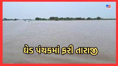 Gujarati Video: ઘેડ પંથક થયો ફરી જળબંબાકાર, ખેતરો પાણીમાં ગરકાવ, મગફળીનો પાક નિષ્ફળ જવાની ભીતિ Gujarati Video: ઘેડ પંથક થયો ફરી જળબંબાકાર, ખેતરો પાણીમાં ગરકાવ, મગફળીનો પાક નિષ્ફળ જવાની ભીતિ