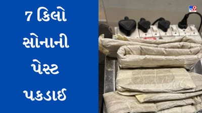 Dubai News : જયપુર એરપોર્ટ પરથી 7 કિલો સોનાની પેસ્ટ પકડાઈ, ચોરોએ દુબઈથી ટ્રોલી બેગમાં છુપાવી હતી
