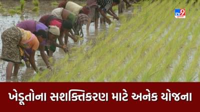 Govt Scheme : ખેડૂતોના સશક્તિકરણ માટે સરકાર ચલાવી રહી છે અનેક યોજનાઓ, અહીં જુઓ લિસ્ટ