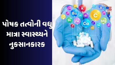 Health Tips: શરીરમાં પોષક તત્વોની વધુ માત્રા પણ નુકસાનકારક, આ સ્વાસ્થ્ય સમસ્યાઓ થઈ શકે છે