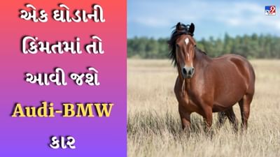 Knowledge: એક ઘોડાની કિંમતમાં તો આવી જશે Audi-BMW કાર, આ પોઈન્ટ પર નક્કી થાય છે ઘોડાની કિંમત