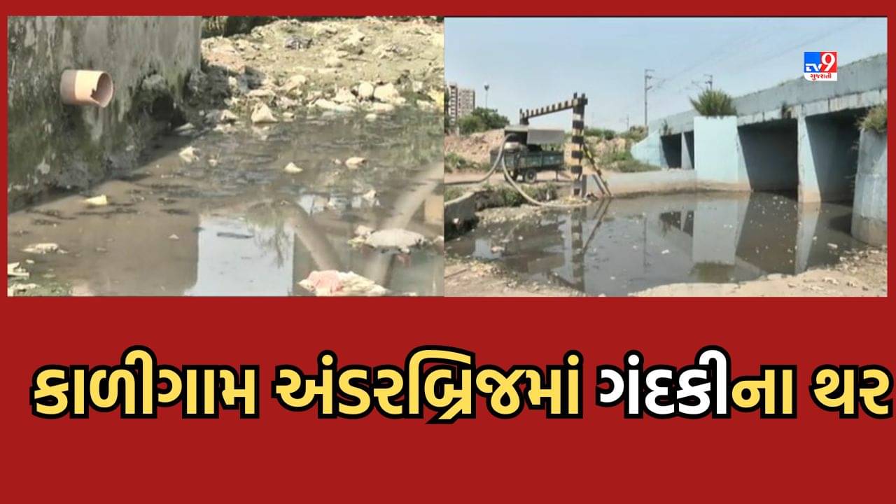 Gujarati Video: અમદાવાદમાં સ્વચ્છતા પખવાડિયાનો ફિયાસ્કો, કાળીગામ અંડરબ્રિજ નજીક ગંદકીનું સામ્રાજ્ય