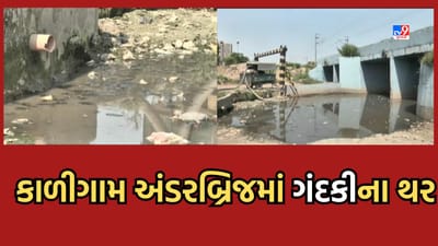 Gujarati Video: અમદાવાદમાં સ્વચ્છતા પખવાડિયાનો ફિયાસ્કો, કાળીગામ અંડરબ્રિજ નજીક ગંદકીનું સામ્રાજ્ય Gujarati Video: અમદાવાદમાં સ્વચ્છતા પખવાડિયાનો ફિયાસ્કો, કાળીગામ અંડરબ્રિજ નજીક ગંદકીનું સામ્રાજ્ય