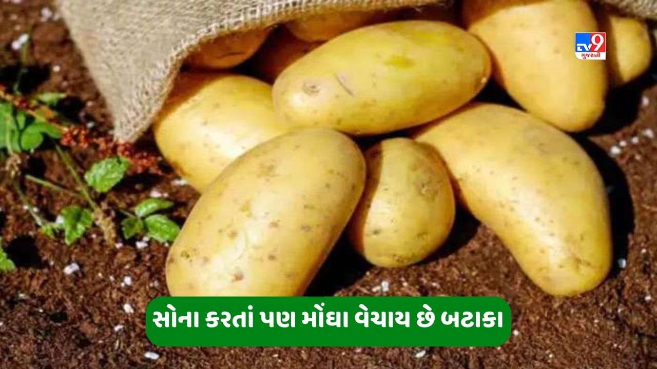 અહીં બટાકા સોના કરતાં પણ વેચાય છે મોંઘા, 1 કિલો માટે ચૂકવવા પડશે આટલા રૂપિયા