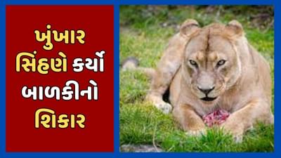 Amreli Breaking : બગસરાના હાલરીયા ગામે સિંહણે કર્યો બાળકીનો શિકાર, સિંહણને પાંજરે પુરવા વન વિભાગ થયુ દોડતુ, જુઓ Video