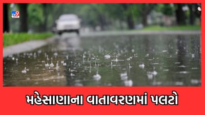 Gujarati Video: મહેસાણાના વાતાવરણમાં પલટો, બપોર બાદ અનેક વિસ્તારોમાં પવન સાથે વરસાદ Gujarati Video: મહેસાણાના વાતાવરણમાં પલટો, બપોર બાદ અનેક વિસ્તારોમાં પવન સાથે વરસાદ