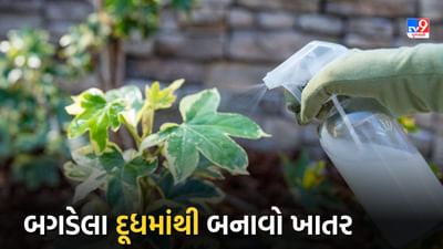 Milk Fertilizer: બગડેલા દૂધમાંથી આ રીતે બનાવો કુદરતી ખાતર, છોડ માટે દવાનું પણ કરશે કામ