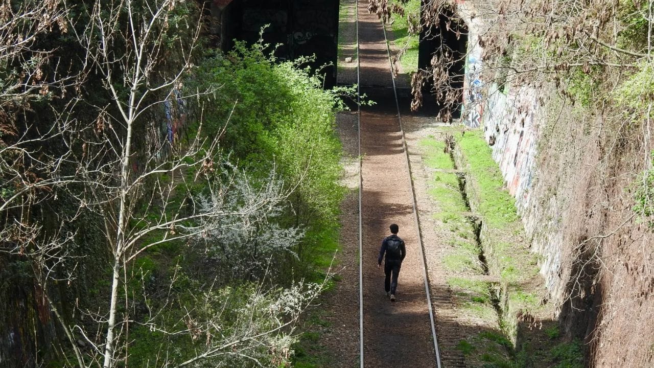 Paris News: ફ્રાન્સની રાજધાની પેરિસમાં નવો પ્રયોગ, બંધ રેલવે લાઈનની આસપાસ બનાવવામાં આવી રહી છે ગ્રીન સ્પેસ