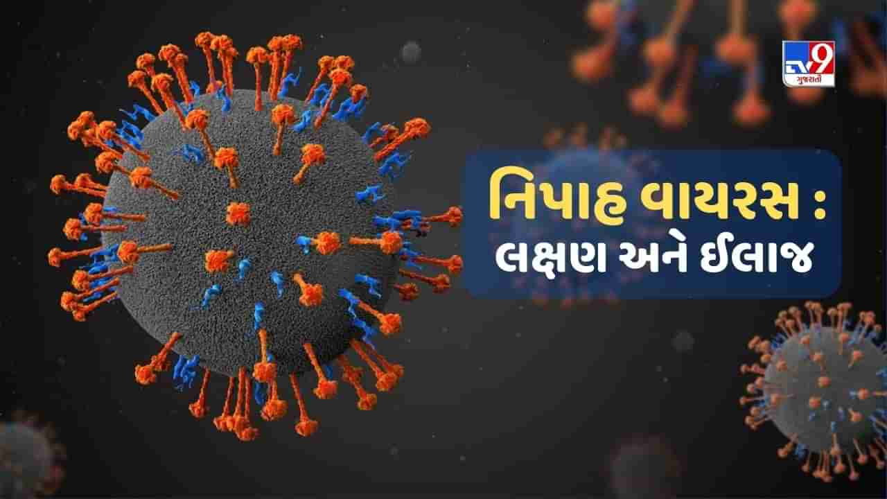 નિપાહનો હાહાકાર ! કેવી રીતે થાય છે આ વાયરસના લક્ષણોની પુષ્ટી અને જાણો શું છે તેનો ઈલાજ ?