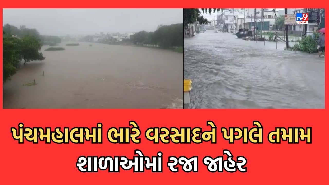 Rain Video: પંચમહાલના શહેરામાં ખાબક્યો સૌથી વધુ 9 ઈંચ વરસાદ, જિલ્લાની તમામ શાળાઓમાં એક દિવસની રજા કરાઈ જાહેર