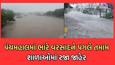 Rain Video: પંચમહાલના શહેરામાં ખાબક્યો સૌથી વધુ 9 ઈંચ વરસાદ, જિલ્લાની તમામ શાળાઓમાં એક દિવસની રજા કરાઈ જાહેર Rain Video: પંચમહાલના શહેરામાં ખાબક્યો સૌથી વધુ 9 ઈંચ વરસાદ, જિલ્લાની તમામ શાળાઓમાં એક દિવસની રજા કરાઈ જાહેર