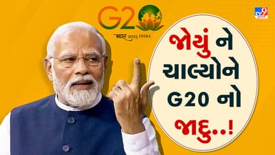 G20 પછી દુનિયાએ ભારતની જોઈ તાકાત, 2.50 લાખ કરોડ રૂપિયાની લાગી ગઇ લોટરી