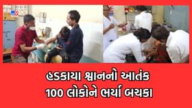 સુરેન્દ્રનગરમાં હડકાયા શ્વાને 100થી વધુ લોકોને ભર્યા બચકા- જુઓ Video સુરેન્દ્રનગરમાં હડકાયા શ્વાને 100થી વધુ લોકોને ભર્યા બચકા- જુઓ Video