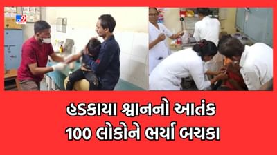 Gujarati Video: સુરેન્દ્રનગરમાં હડકાયા શ્વાનનો આતંક, 100થી વધુ લોકોને ભર્યા બચકા