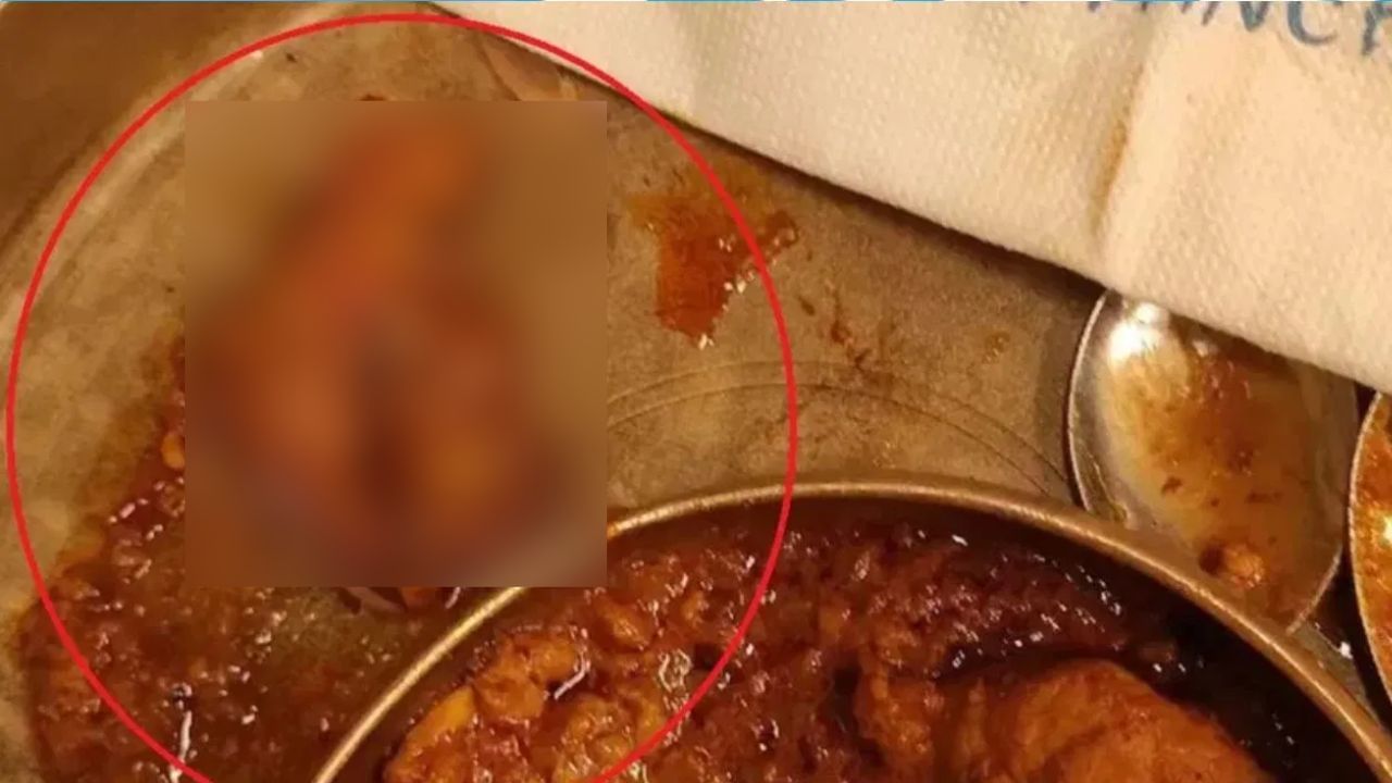 Mumbai : ભોજનમાંથી નીકળ્યું મૃત ઉંદરનું બચ્ચું, FDA એલર્ટ, પ્રખ્યાત હોટલ પર દરોડા પાડી માલિકને અપાઈ નોટિસ